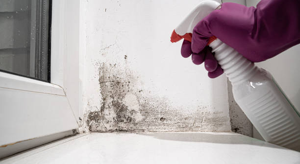 Best Commercial water damage restoration  in Neshanic Station, NJ